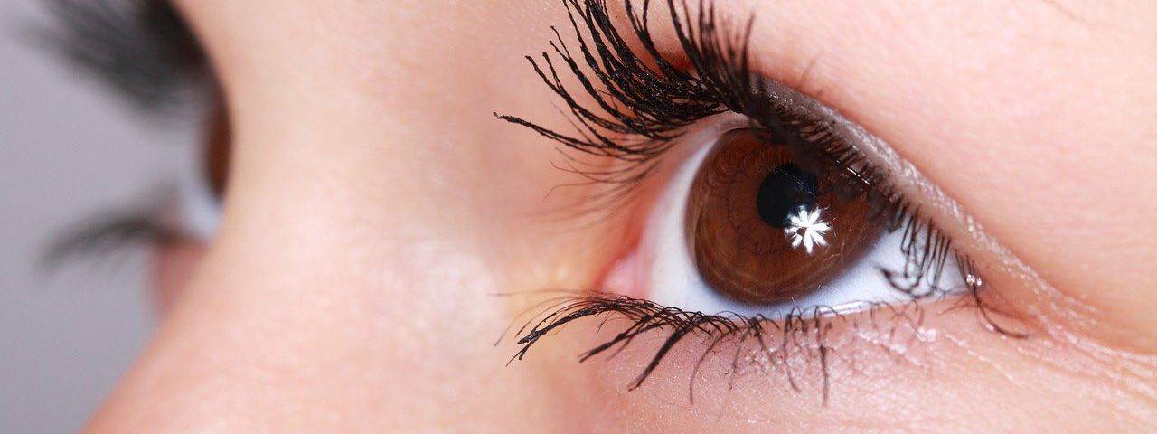 eye brown twinkle close up 1280x480